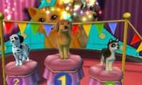 Hunde & Katzen 3D Tierisch verspielt  Games