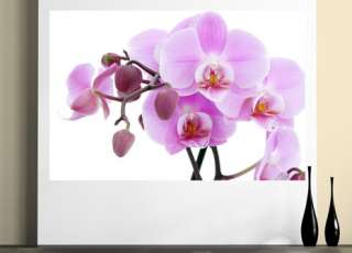 Wallprint Wandaufkleber Wandbild Orchideen Deluxe neu  