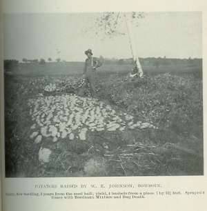 Report State Board Agriculture Maine/Photos/Info 1901  