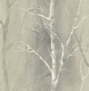 WHITE BIRCH TREES ON GREYISH BEIGE BACKGROUND WALLPAPER SG50308  