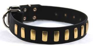  general interest dean tyler leather dog collar plated perfection