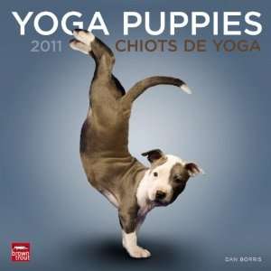  Yoga Puppies/Chiots de Yoga 2011 Wall Calendar 12 X 12 