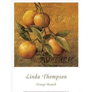   Branch Finest LAMINATED Print Linda Thompson 12x16