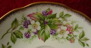 ROSINA Queens WILD FLOWER English Roses CUP SAUCER Set  