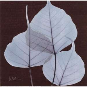  Albert Koetsier X ray Leaf Study in Teal II 6.00 x 6.00 