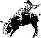 Bull Riding Decal 5 Rodeo Truck Window Stickers 8 items in Wildlife 