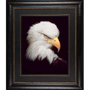  Eagle Eye James Jones 36x42 Gallery Quality Framed Art 