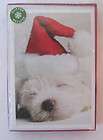 Weiner Dog Christmas Cards Set of 5 with Envelopes by Hallmark  