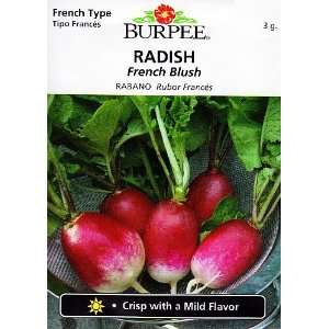    Burpee French Blush Radish   100 Seeds Patio, Lawn & Garden