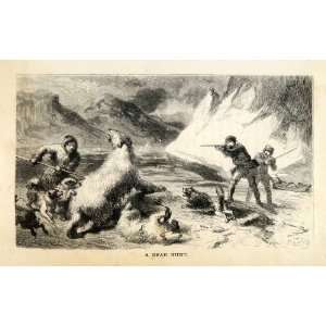 com 1867 Wood Engraving Polar Bear Arctic Hunting Poaching SS United 