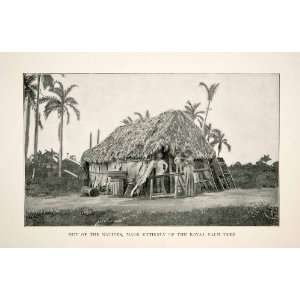 1898 Print Cuba Republic Caribbean Hut Natives Palm Tree House Family 
