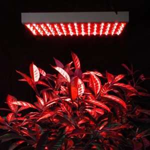   Grass Herb Flower Growing Grow LED Light Lamp Panel: Home Improvement
