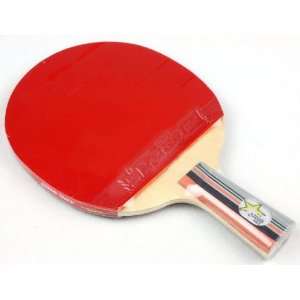 DHS Table Tennis Paddle #X2007, Ping Pong Racquet 