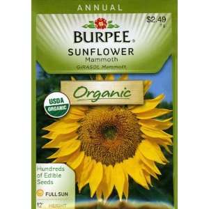   60740 Organic Sunflower Mammoth Seed Packet Patio, Lawn & Garden
