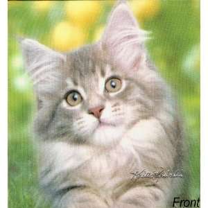   Keith Kimberlin Stretchable Kitten Fabric Book Cover: Office Products