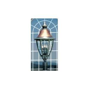   Light Outdoor Post Lamp in Verde with Clear Beveled Glass glass Home